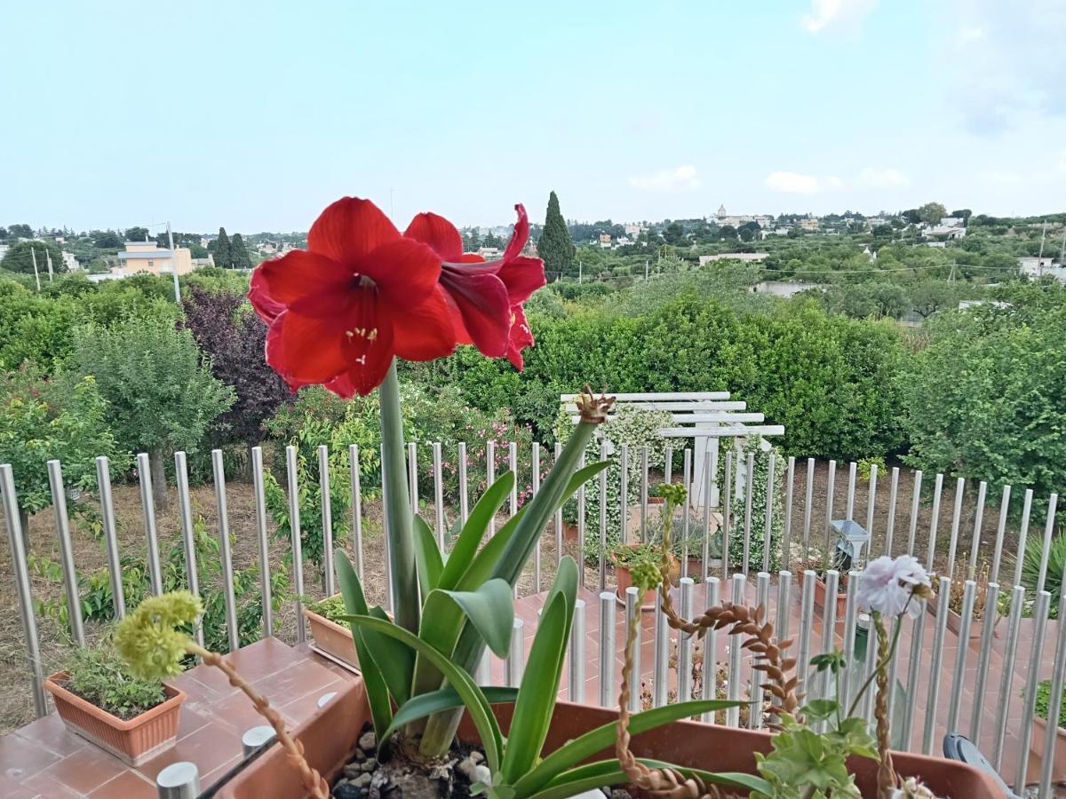 Bed and Breakfast Casa Mastronardi Castellana Grotte Exterior foto