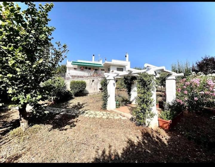 Bed and Breakfast Casa Mastronardi Castellana Grotte Exterior foto